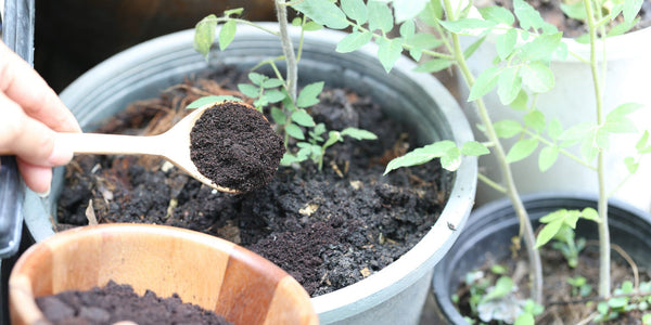 natural elements like plants and soil