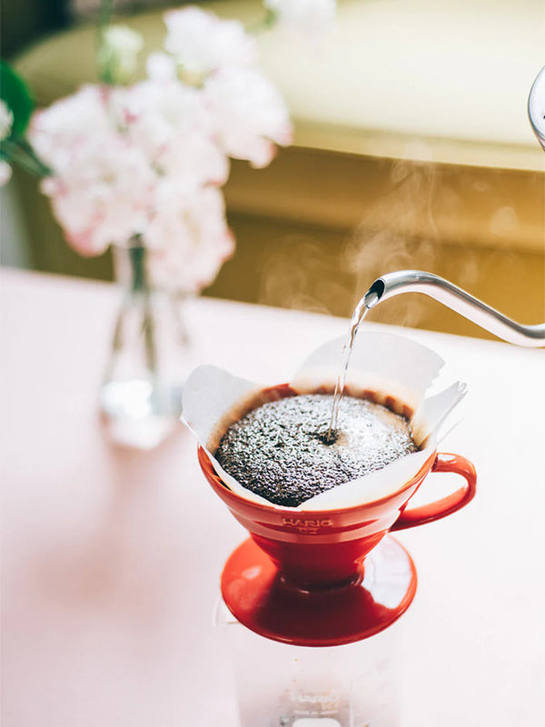 HARIO V60-02 Dripper | Ceramic