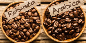 variety of coffee beans