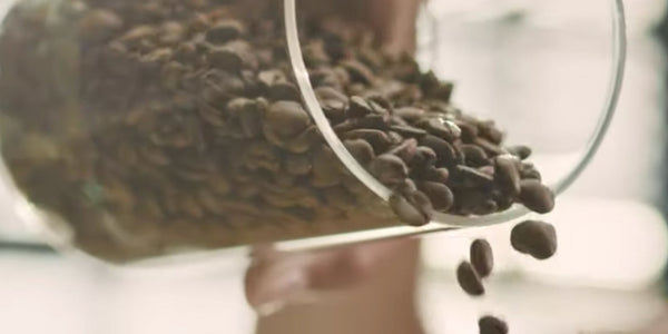 coffee bean storage