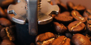 oily coffee beans