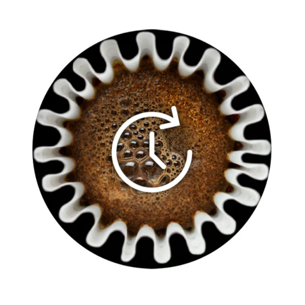 Breville Precision Brewer Thermal Coffee Machine  BDC450BSS