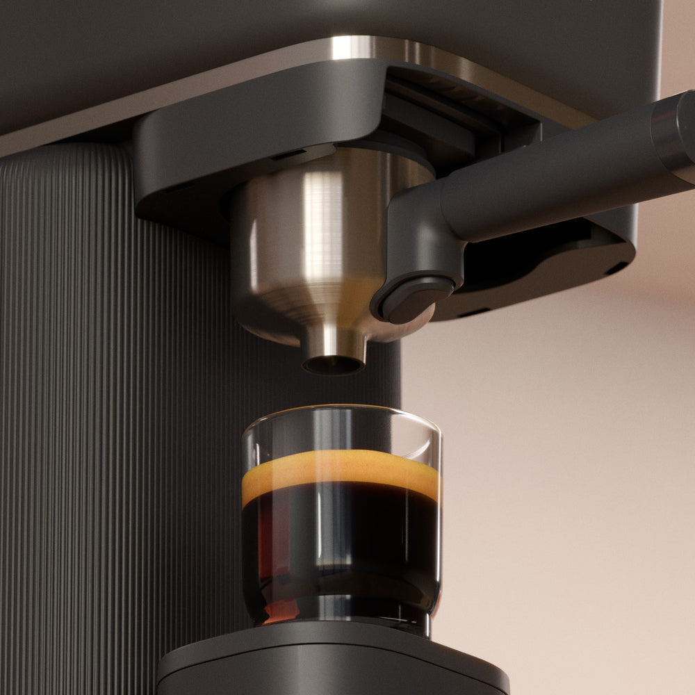 Philips Baristina BAR303/60 Black Portafilter
