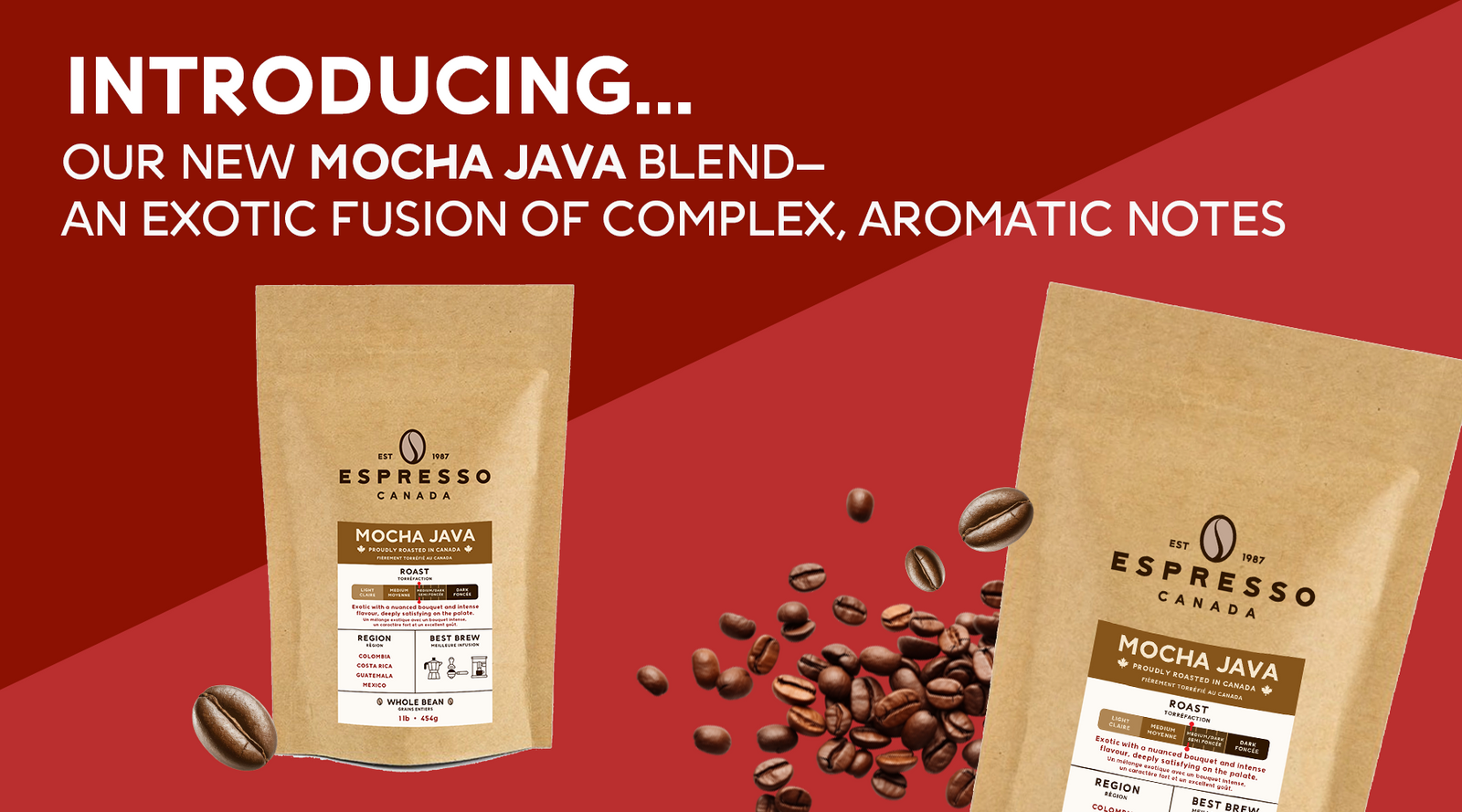 Mocha Java coffee beans