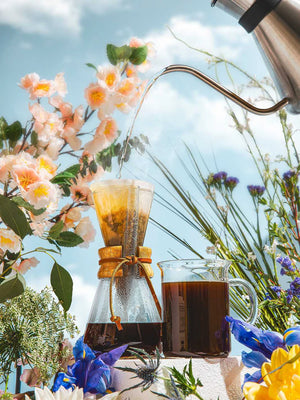 CHEMEX® Three Cup Classic - Espresso Canada