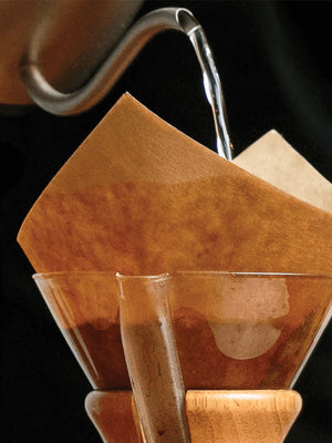 CHEMEX® Filter Squares | 100-Pack