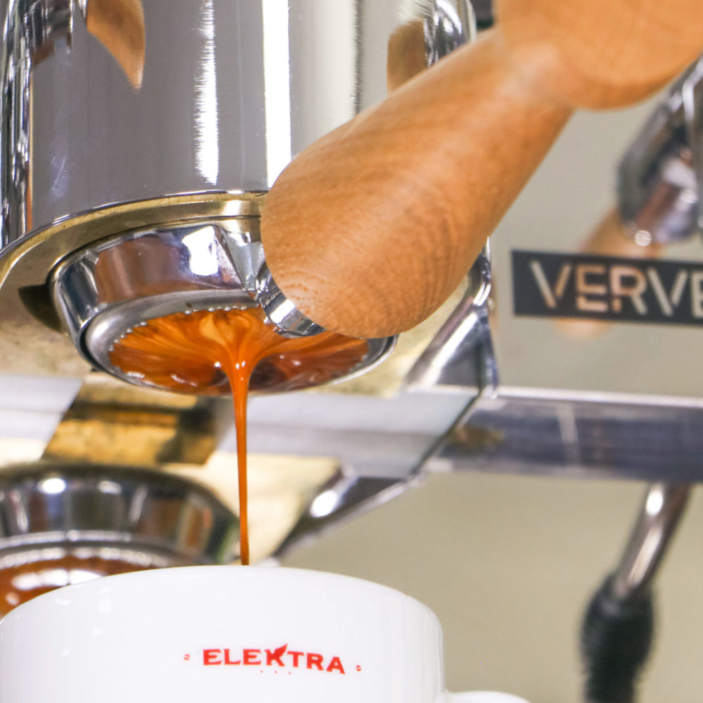 Elektra Verve Manual Espresso Machine Close Up Portafilter Available at Espresso Canada
